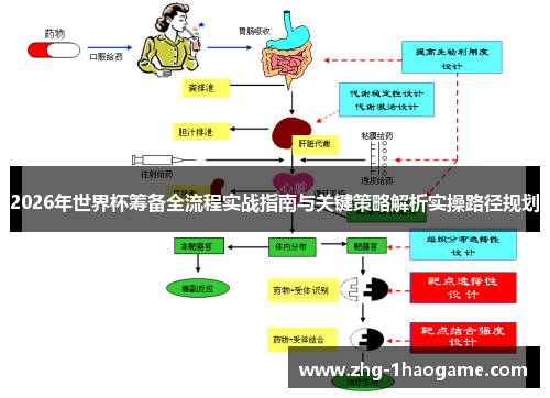 2026年世界杯筹备全流程实战指南与关键策略解析实操路径规划